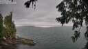 ./images/koeye/fitz-hugh/20260724/fitz-hugh20260724_073502M.jpg