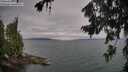 ./images/koeye/fitz-hugh/20260724/fitz-hugh20260724_084001M.jpg