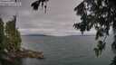 ./images/koeye/fitz-hugh/20260724/fitz-hugh20260724_084501M.jpg