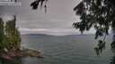 ./images/koeye/fitz-hugh/20260724/fitz-hugh20260724_085001M.jpg