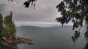 ./images/koeye/fitz-hugh/20260724/fitz-hugh20260724_090002M.jpg