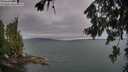 ./images/koeye/fitz-hugh/20260724/fitz-hugh20260724_092002M.jpg