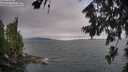 ./images/koeye/fitz-hugh/20260724/fitz-hugh20260724_095502M.jpg