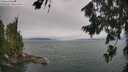 ./images/koeye/fitz-hugh/20260724/fitz-hugh20260724_102002M.jpg