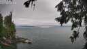 ./images/koeye/fitz-hugh/20260724/fitz-hugh20260724_114001M.jpg