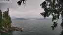 ./images/koeye/fitz-hugh/20260724/fitz-hugh20260724_115001M.jpg
