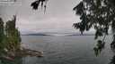 ./images/koeye/fitz-hugh/20260724/fitz-hugh20260724_115501M.jpg