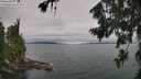 ./images/koeye/fitz-hugh/20260724/fitz-hugh20260724_120502M.jpg