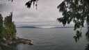 ./images/koeye/fitz-hugh/20260724/fitz-hugh20260724_121001M.jpg