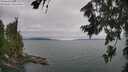 ./images/koeye/fitz-hugh/20260724/fitz-hugh20260724_124001M.jpg