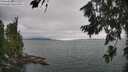 ./images/koeye/fitz-hugh/20260724/fitz-hugh20260724_131001M.jpg