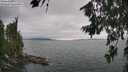 ./images/koeye/fitz-hugh/20260724/fitz-hugh20260724_131502M.jpg