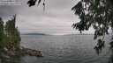 ./images/koeye/fitz-hugh/20260724/fitz-hugh20260724_132002M.jpg
