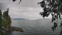./images/koeye/fitz-hugh/20260724/fitz-hugh20260724_132501M.jpg