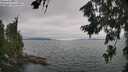 ./images/koeye/fitz-hugh/20260724/fitz-hugh20260724_133001M.jpg