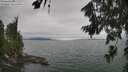 ./images/koeye/fitz-hugh/20260724/fitz-hugh20260724_133502M.jpg