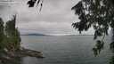 ./images/koeye/fitz-hugh/20260724/fitz-hugh20260724_135502M.jpg