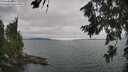 ./images/koeye/fitz-hugh/20260724/fitz-hugh20260724_140002M.jpg