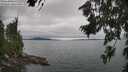 ./images/koeye/fitz-hugh/20260724/fitz-hugh20260724_142002M.jpg