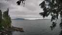 ./images/koeye/fitz-hugh/20260724/fitz-hugh20260724_144002M.jpg