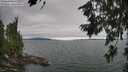 ./images/koeye/fitz-hugh/20260724/fitz-hugh20260724_145001M.jpg