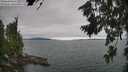 ./images/koeye/fitz-hugh/20260724/fitz-hugh20260724_145502M.jpg