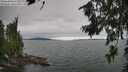 ./images/koeye/fitz-hugh/20260724/fitz-hugh20260724_150501M.jpg