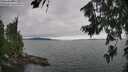 ./images/koeye/fitz-hugh/20260724/fitz-hugh20260724_153502M.jpg