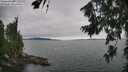 ./images/koeye/fitz-hugh/20260724/fitz-hugh20260724_154002M.jpg