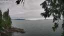 ./images/koeye/fitz-hugh/20260724/fitz-hugh20260724_154501M.jpg