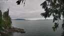 ./images/koeye/fitz-hugh/20260724/fitz-hugh20260724_155002M.jpg