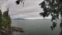 ./images/koeye/fitz-hugh/20260724/fitz-hugh20260724_163501M.jpg