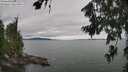 ./images/koeye/fitz-hugh/20260724/fitz-hugh20260724_164001M.jpg
