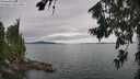 ./images/koeye/fitz-hugh/20260724/fitz-hugh20260724_164501M.jpg