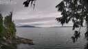 ./images/koeye/fitz-hugh/20260724/fitz-hugh20260724_170501M.jpg