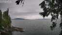 ./images/koeye/fitz-hugh/20260724/fitz-hugh20260724_171502M.jpg