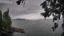 ./images/koeye/fitz-hugh/20260724/fitz-hugh20260724_172002M.jpg