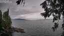 ./images/koeye/fitz-hugh/20260724/fitz-hugh20260724_172501M.jpg