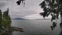 ./images/koeye/fitz-hugh/20260724/fitz-hugh20260724_173502M.jpg