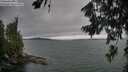 ./images/koeye/fitz-hugh/20260724/fitz-hugh20260724_182502M.jpg