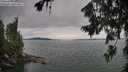 ./images/koeye/fitz-hugh/20260724/fitz-hugh20260724_191001M.jpg