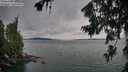 ./images/koeye/fitz-hugh/20260724/fitz-hugh20260724_193501M.jpg