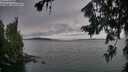 ./images/koeye/fitz-hugh/20260724/fitz-hugh20260724_194501M.jpg