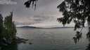./images/koeye/fitz-hugh/20260724/fitz-hugh20260724_195501M.jpg
