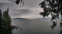 ./images/koeye/fitz-hugh/20260724/fitz-hugh20260724_200501M.jpg