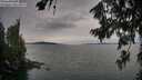 ./images/koeye/fitz-hugh/20260724/fitz-hugh20260724_201001M.jpg