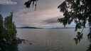 ./images/koeye/fitz-hugh/20260724/fitz-hugh20260724_205002M.jpg