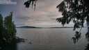 ./images/koeye/fitz-hugh/20260724/fitz-hugh20260724_210501M.jpg