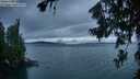 ./images/koeye/fitz-hugh/20260724/fitz-hugh20260724_214002M.jpg