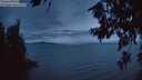 ./images/koeye/fitz-hugh/20260724/fitz-hugh20260724_221001M.jpg